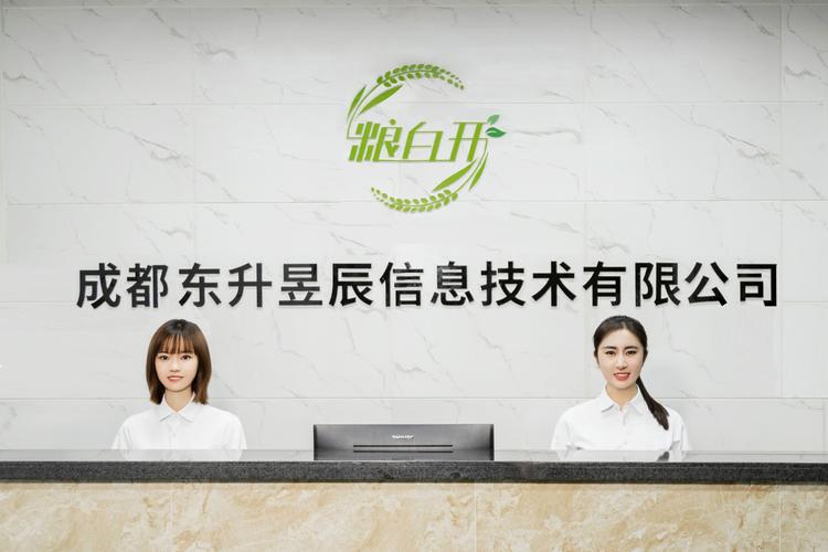 从“郭宝”与信息技术咨询服务出发，探索专业咨询的价值与边界